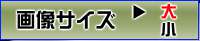 ふたなり催眠学園 支配編, 日本語