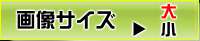 ふたなり催眠学園 支配編, 日本語