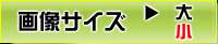 ふたなり催眠学園 支配編, 日本語