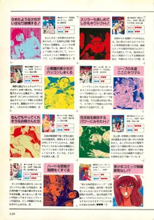 コンプティーク増刊号 ちょっとＨな福袋, 日本語