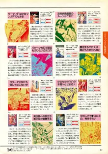 コンプティーク増刊号 ちょっとＨな福袋, 日本語