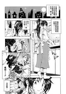 Hakase no Strange na Aijou - Hiroshi's Strange Love, 中文