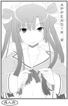 APPENDIX IX - 9, 日本語