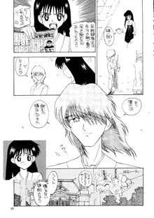 SAILOR MOON MATE 03 REY, 日本語