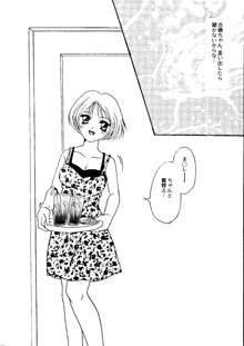 Bishoujo Doujinshi Anthology Cute 2, 日本語