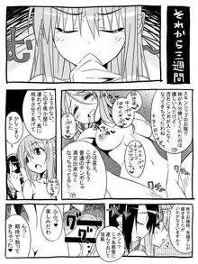 ふたなり少女の射精日記 4, 日本語