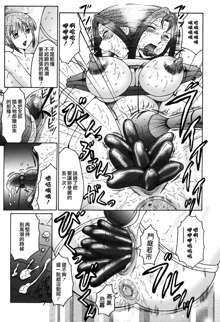 Boshino Toriko - The Captive of Mother and the Son (decensored), 中文