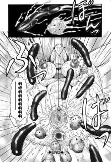 Boshino Toriko - The Captive of Mother and the Son (decensored), 中文