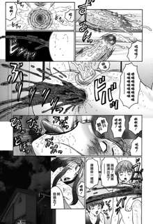 Boshino Toriko - The Captive of Mother and the Son (decensored), 中文