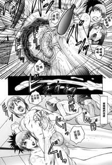 Boshino Toriko - The Captive of Mother and the Son (decensored), 中文