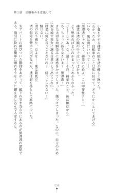 こんな娘がいたら僕はもう…!! 三瀬綾菜の情熱, 日本語