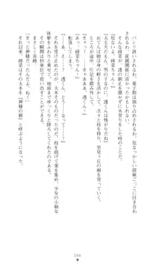 こんな娘がいたら僕はもう…!! 三瀬綾菜の情熱, 日本語