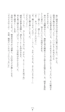 こんな娘がいたら僕はもう…!! 三瀬綾菜の情熱, 日本語