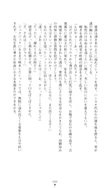 こんな娘がいたら僕はもう…!! 三瀬綾菜の情熱, 日本語