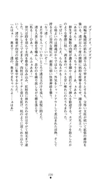 こんな娘がいたら僕はもう…!! 大音渚の情熱, 日本語