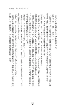 こんな娘がいたら僕はもう…!! 大音渚の情熱, 日本語