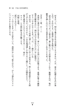 こんな娘がいたら僕はもう…!! 大音渚の情熱, 日本語