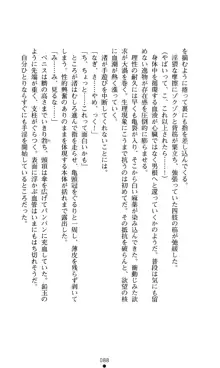 こんな娘がいたら僕はもう…!! 大音渚の情熱, 日本語