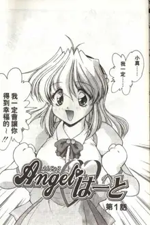 Angel Heart, 中文