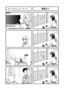 日常のあれ, 日本語