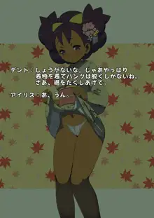 お正月だよポケモン　2012, 日本語