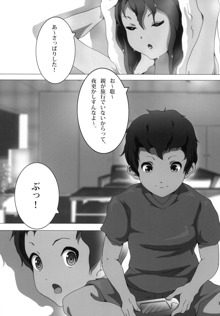 あねかん！, 日本語