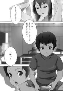 あねかん！, 日本語