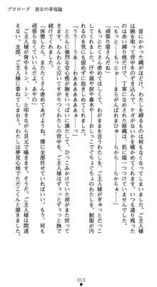 淫辱学園剣姫 穢される誇りと絆, 日本語