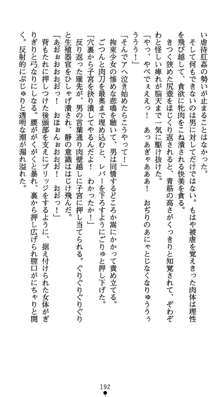 淫辱学園剣姫 穢される誇りと絆, 日本語