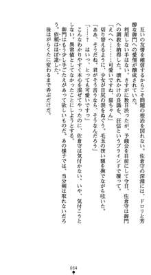 淫辱学園剣姫 穢される誇りと絆, 日本語