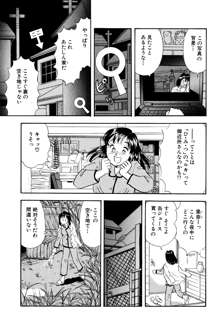 ひみつ妻3, 日本語