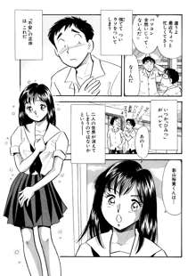 ひみつ妻3, 日本語