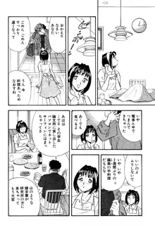 ひみつ妻5, 日本語