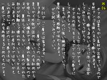 オナホの恩返し 【実用書】オナホール解説本, 日本語