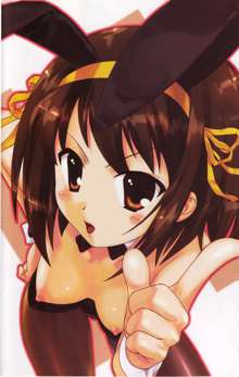 Suzumiya Haruhi no Rinkan 1, 中文