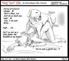 Dog LOVE Life | Dog's Luv Life, English