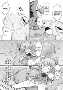 Cirno Dai Pinch! ~Kaeru no Fukushuu Hen~ | 치르노 대위기! ~개구리의 복수편~, 한국어