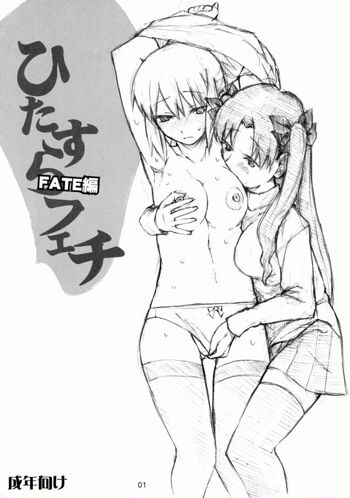 Hitazura Fetish FATE hen, English