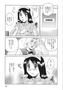 びしょ濡れ微情熱, 日本語