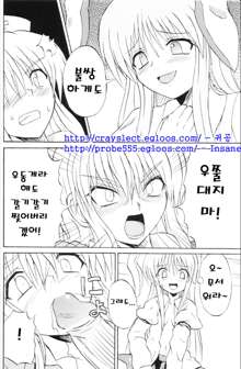 Touhou Youjo Ranbu 6, 한국어