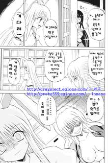 Touhou Youjo Ranbu 6, 한국어