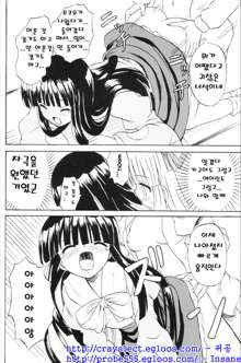 Touhou Youjo Ranbu 6, 한국어