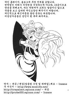 Touhou Youjo Ranbu 7, 한국어