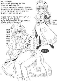 Touhou Youjo Ranbu 7, 한국어