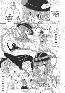 Touhou Youjo Ranbu 10, 한국어