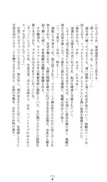 生徒会長黒泉院鳳蝶の屈辱, 日本語