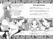 魔導の王国・淫辱の罠に堕ちる美姫 SIDE：B RJ093193, 日本語