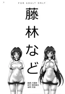 Fujibayashi Nado - Fujibayashi Twins After Story (decensored), 中文