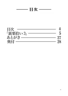 裏栗拾い3, 日本語