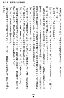 監獄島の洗脳捜査官 麗しき淫肉奴隷, 日本語